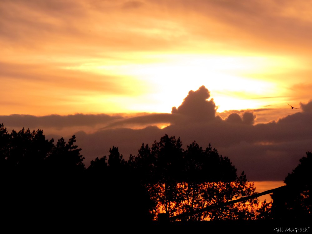 2014 10 05  mountain and lace jpg sig