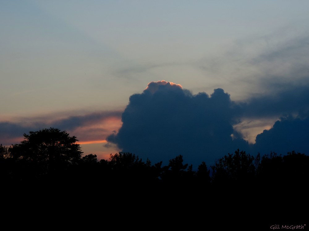 2014 10 09 Pink outline jpg sig