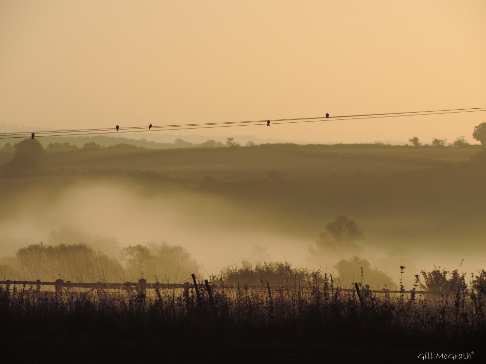 2014 10 10 high notes in sepia jpg sig 8am