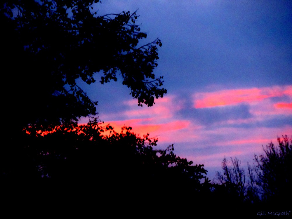 2014 10 20  bright spot jpg sig