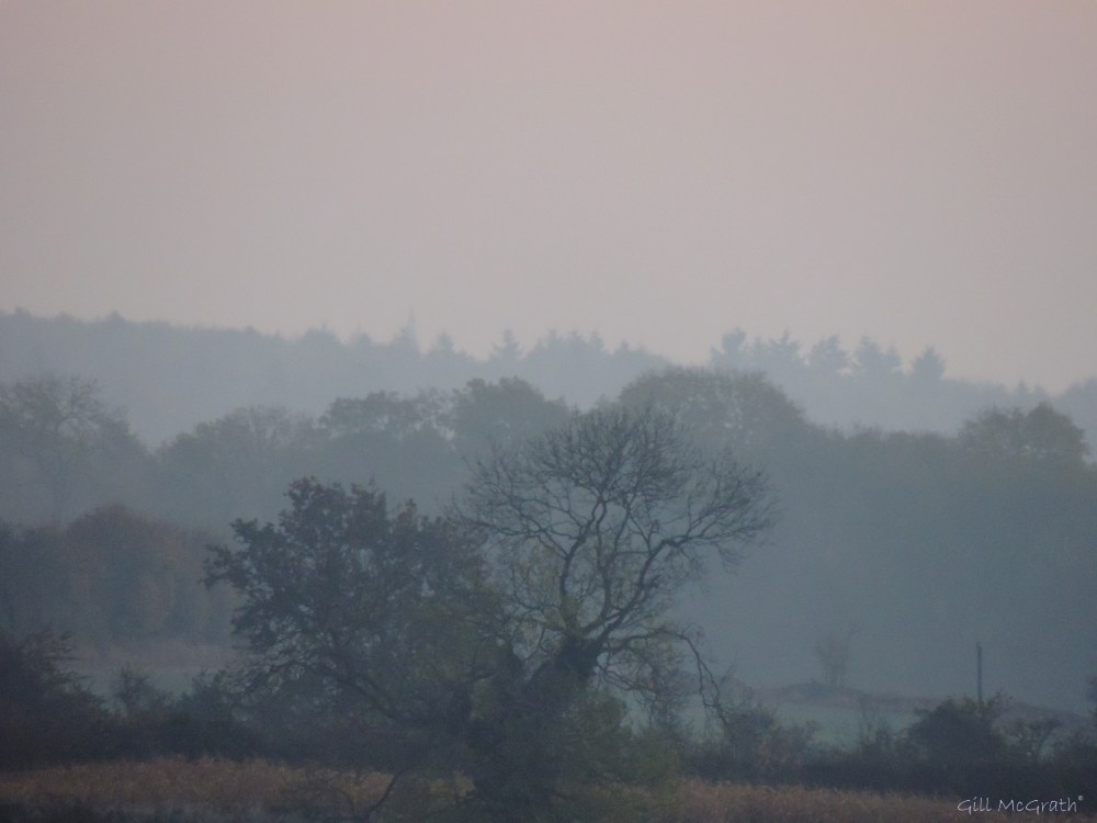 2014 10 28 mist on the wires jpg sig