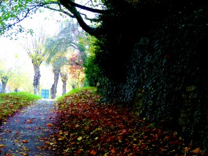 2014 10 30  hill portal jpg sig