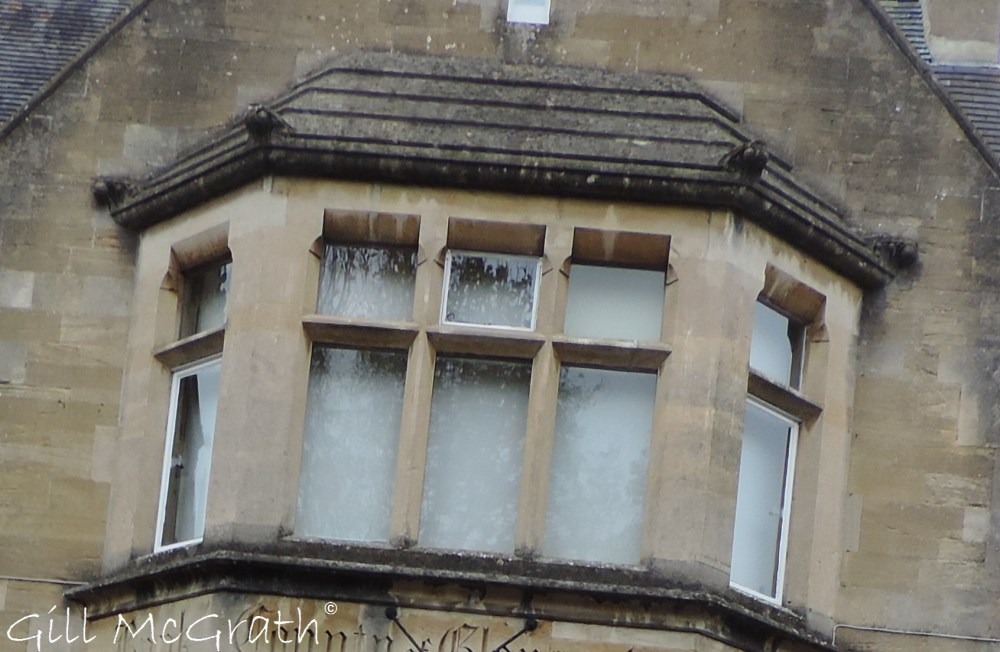 2014 11 11 Violet jpg sig