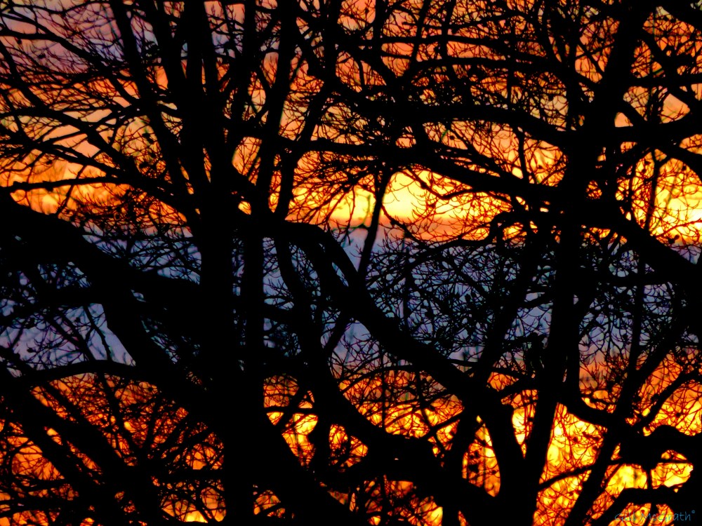 2014 11 14 Unveiling jpg sig