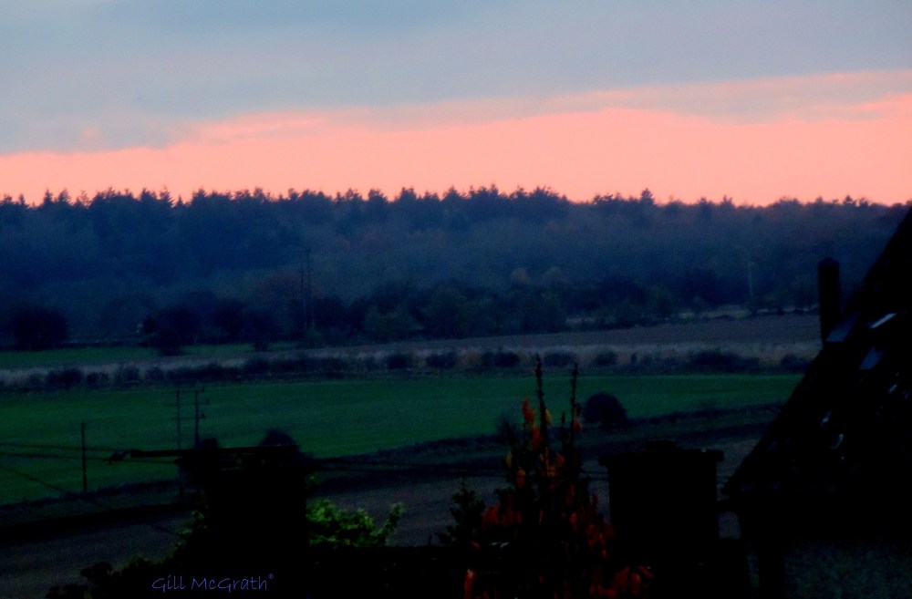 2014 11 17 poor light 4.30pm field opposite to the sun from house jpg sig