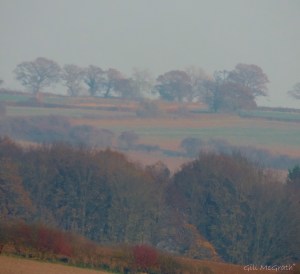 2014 11 19 morning mist  today jpg sig