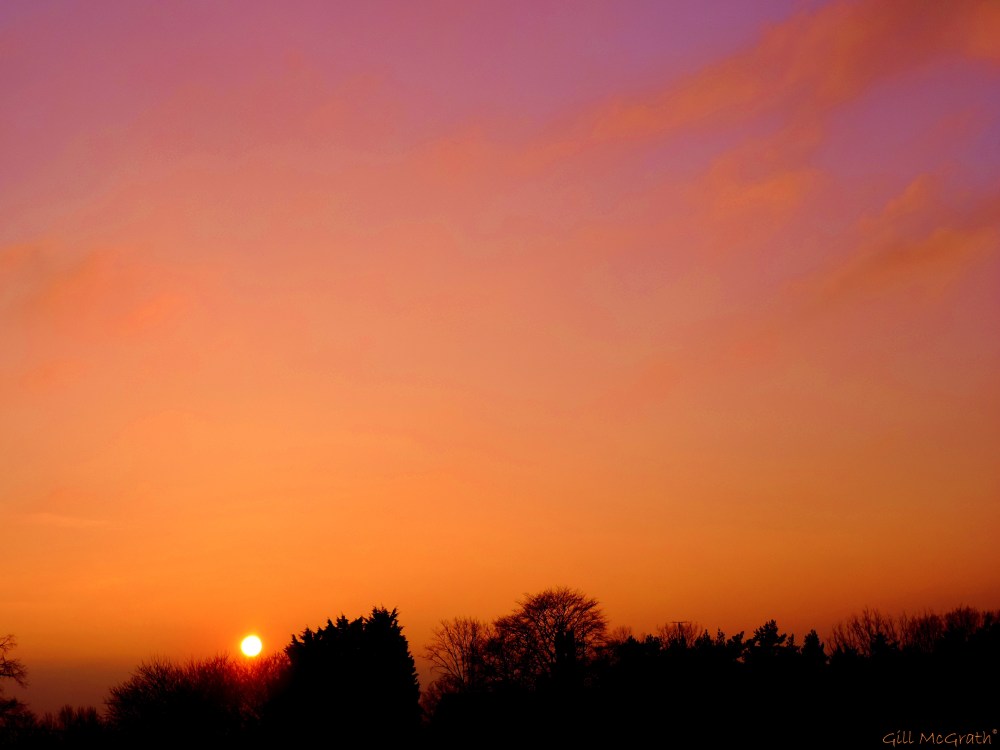 2014 11 20 autumn sunset jpg sig