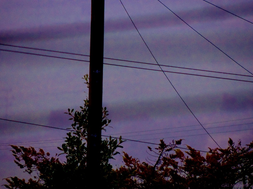 2014 11 21 a veil of purple mist jpg sig