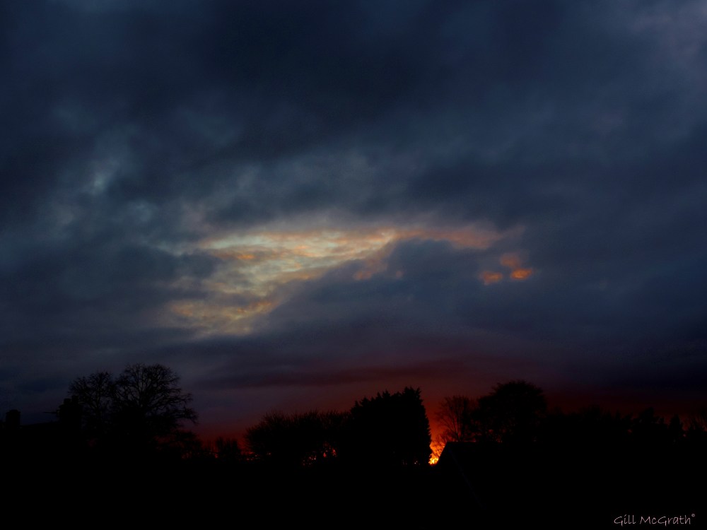 2014 11 22 squeezing ink from the dew jpg sig