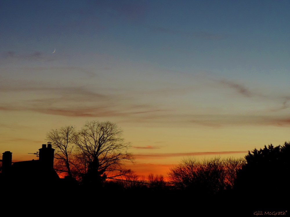 2014 11 24 the moon came to the party tonight jpg sig