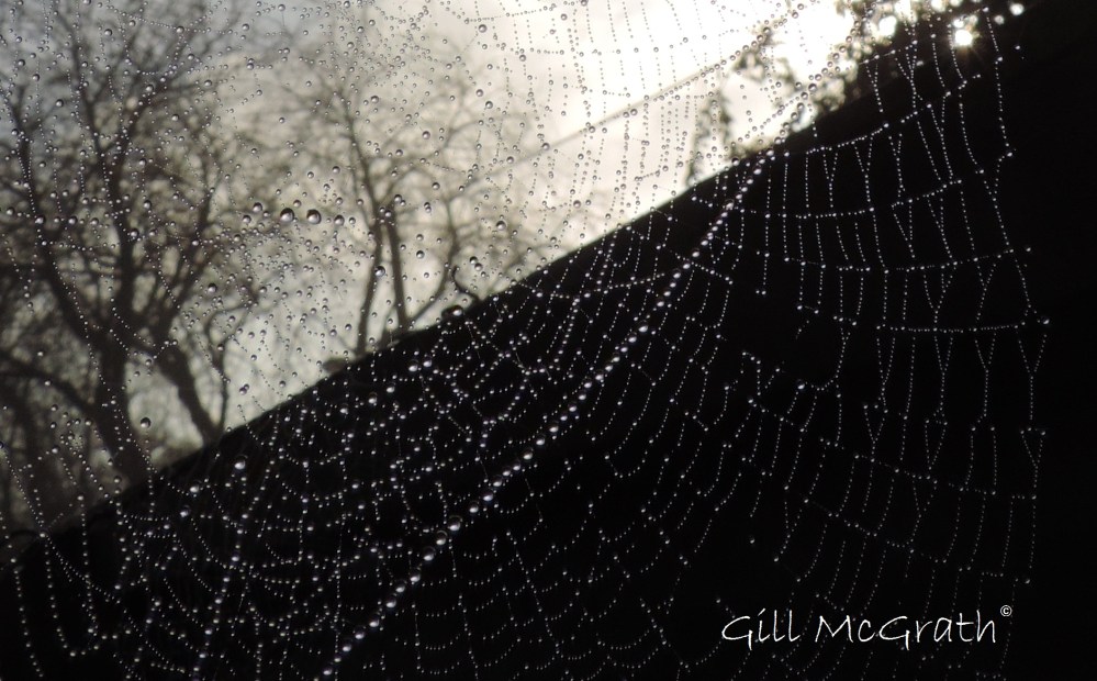 2014  11 30 a line of diamonds jpg sig