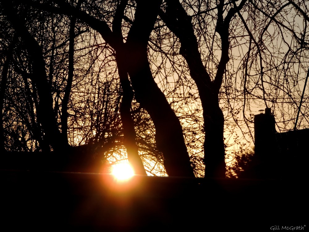 2014 12 03 sun on the fence jpg sig