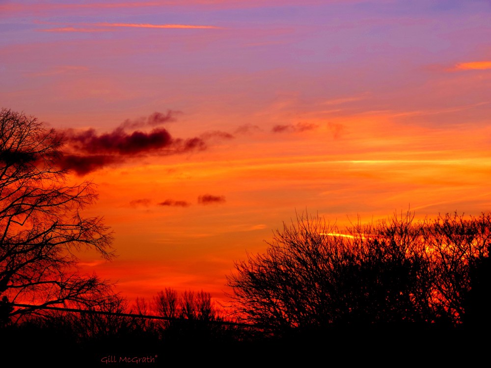 2014 12 06 suddenly red jpg sig