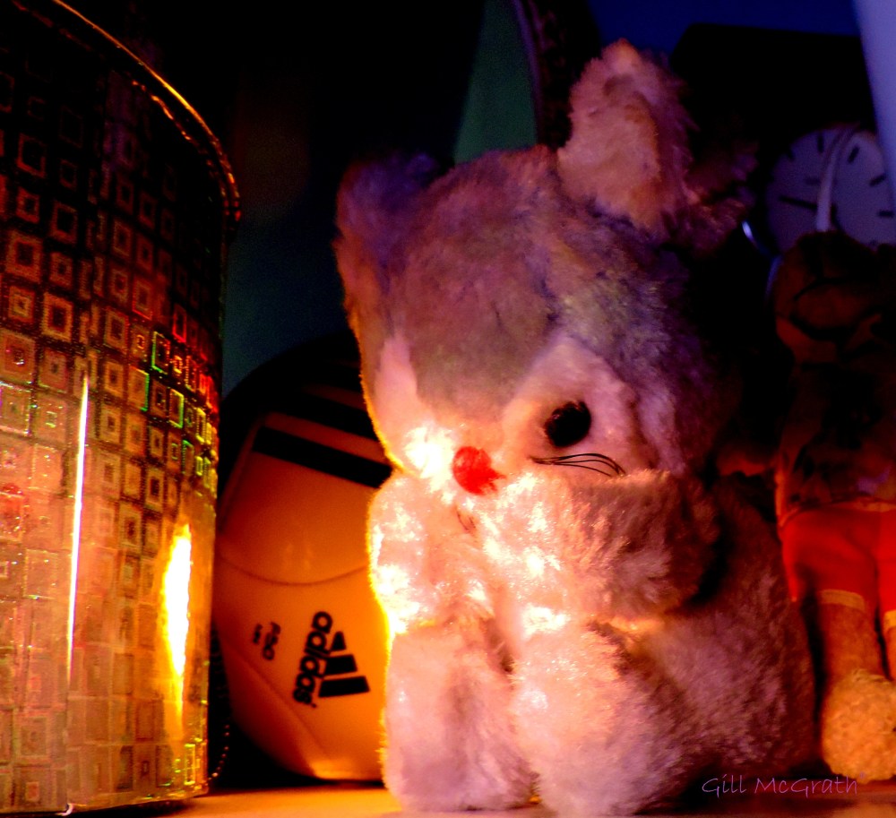 2014 12 09 Sparkle. the bear. in Sunshine jpg sig