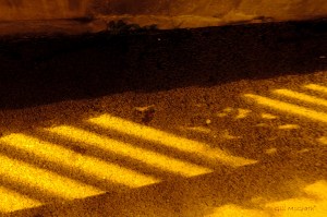 2014 12 16  yellow light brown  shadows on  grey asphelt   jpg sig