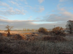 2014 12 18 burnished orange  like a passenger in the lilac jpg  sig