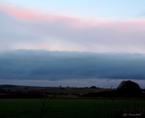 2014 12 27 pink and blue fluff over green this evening jpg sig