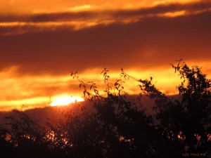 2014 12 30  fire over the woodland edge 8.15 am jpg sig