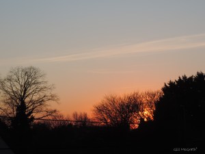 2014 12 30 from my window jpg sig