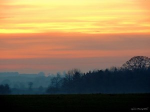 2014 12 30  sky another field jpg sig