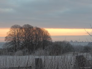 2014 12 31 morning lines and frost  jpg sig