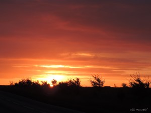 2014 jpg sig this morning in the other field the sun jpg sig