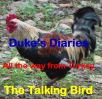 Dukes Diary Front Page