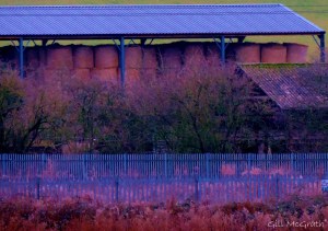 2015 01 01 barn food jpg sig coloured