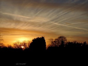 2015 01 02 finding the pearl jpg sig