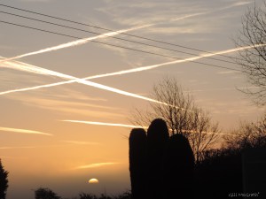 2015  01 04  sun appearing through mist 8.29 am jpg sig