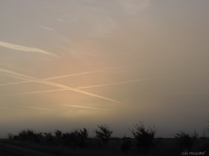 2015 01 04 sun gone going 8.36am jpg sig