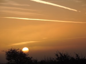 2015 01 04  sun up  road side  8.31am  jpg sig