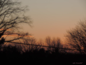 2015 01 06 other side  sunset jpg sig