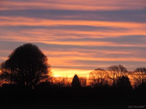 2015 01 09  sky at 8.05am jpg sig