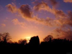 2015 01 15  Still the Arctic wind.... jpg sig