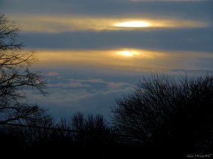 2015 01 17  evening jpg sig