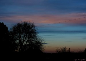 2015 01 17 wide view end of road jpg sig