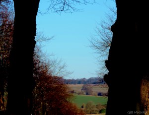 2015 01 19 up among the cars hill  jpg sig