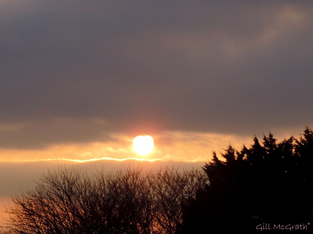 2015 01 22 sunset 4.03 pm jpg sig
