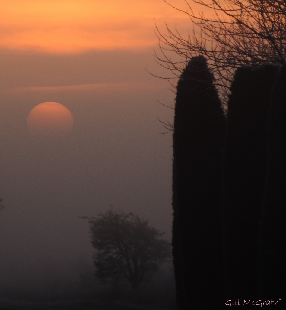 2015 01 23 sun up in mist  8.12 am jpg sig