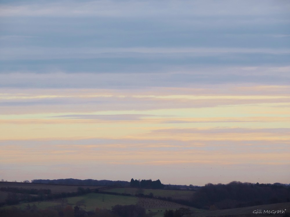 2015 01 27 cows in the meadow jpg sig