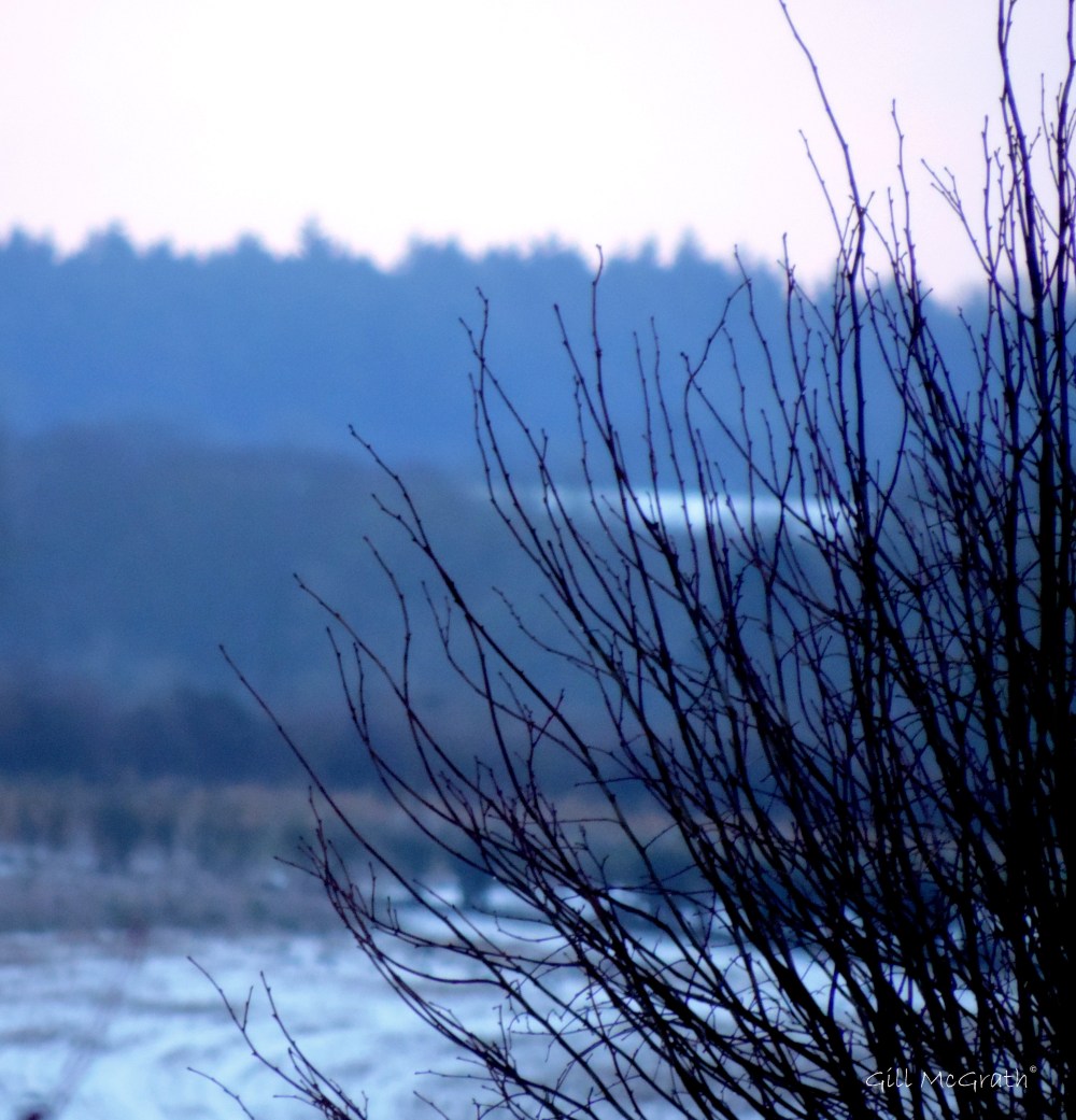 2015 01 31 snow on the hill 1 jpg sig