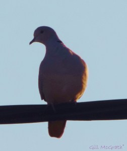 205 01 18 which way  jpg sig