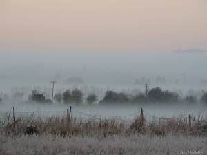 6 2015 01 04   DSCN9404 jpg sig white mist