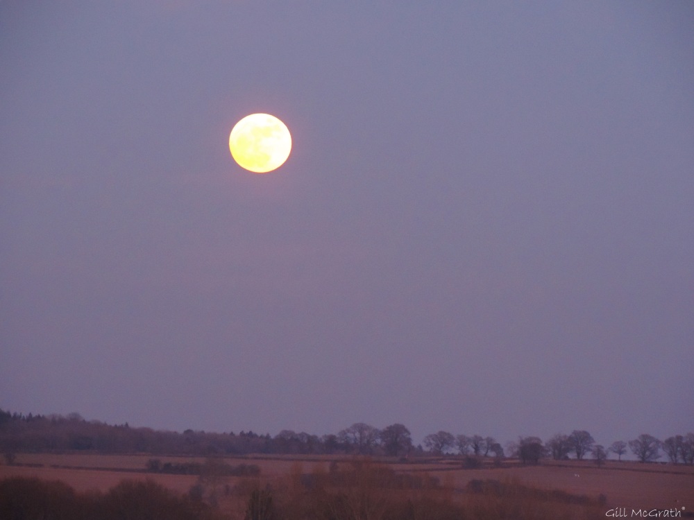 2015 02 03  moon on the field 5.22 jpg sig