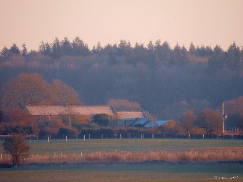 2015 02 06 morning sequence  house 6 807 jpg sig