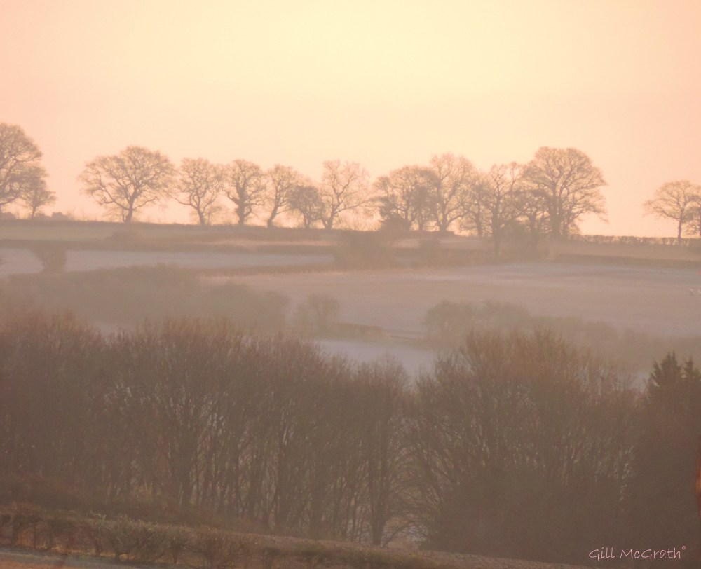 2015 02 06 morning sequence peach 2  8 03am  jpg sig