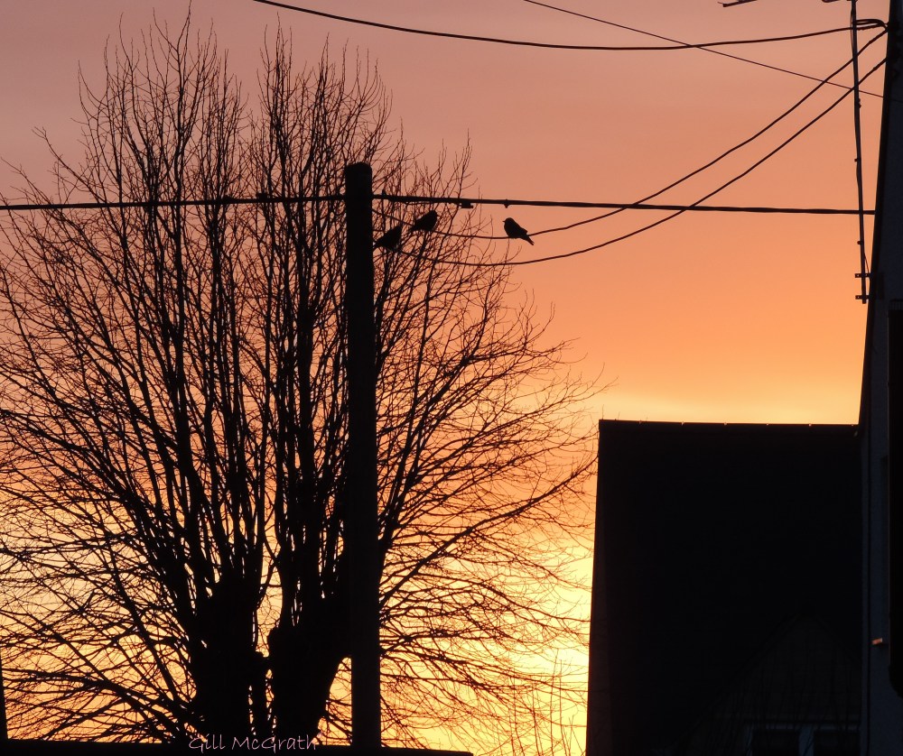 2015  02 07 02 sunrise 1 7 .30am jpg sig