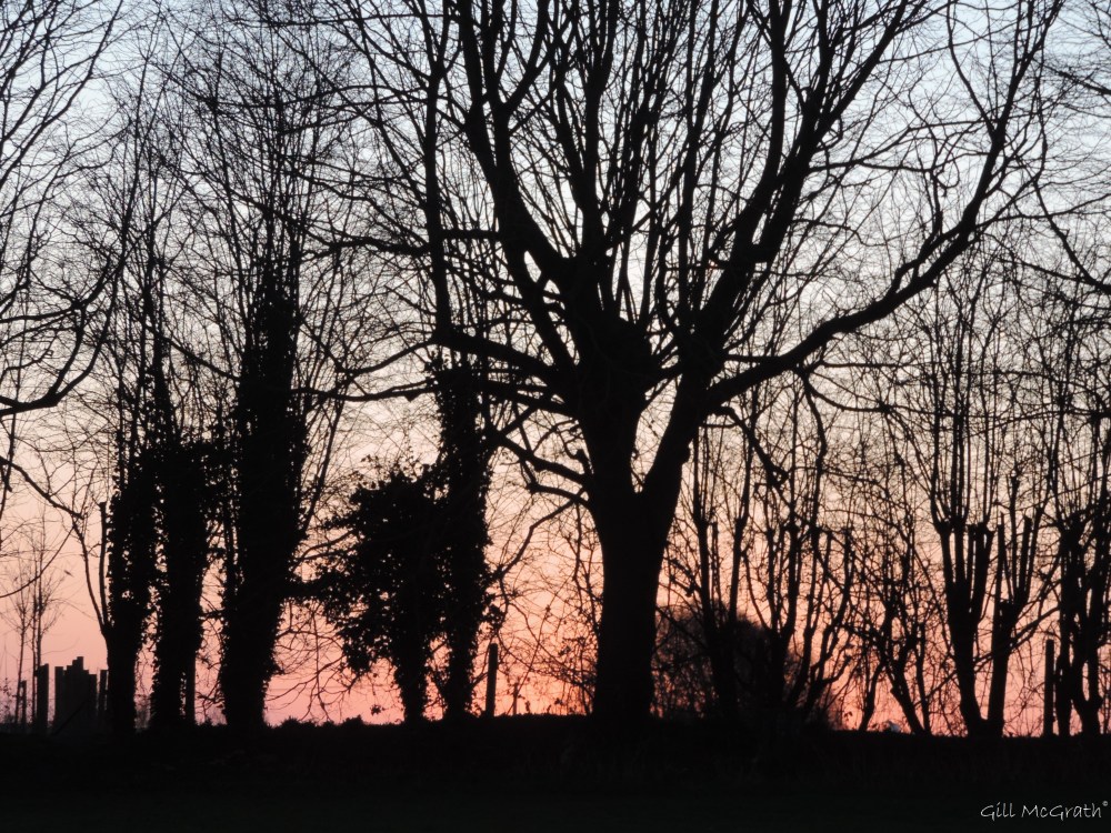 2015 02 17  7 22 predawn  and then the morning came  first jpg sig