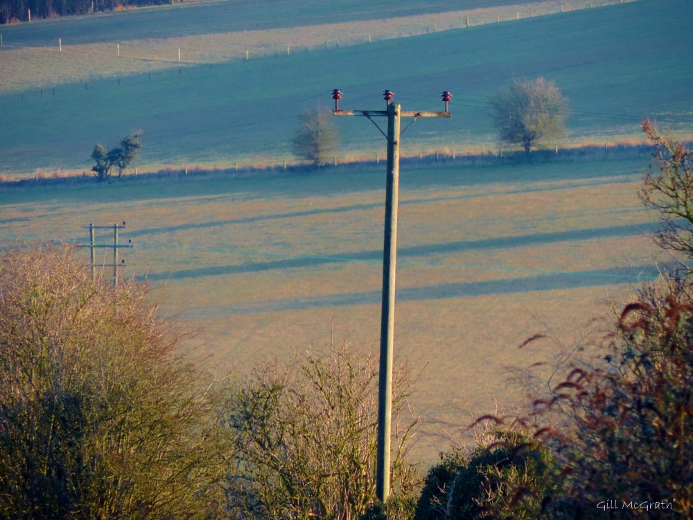 2015 02 21 5  standing in long shadow jpg sig